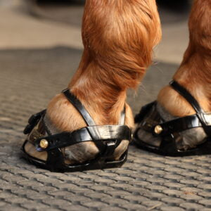 Scootboots Adjust (styck)