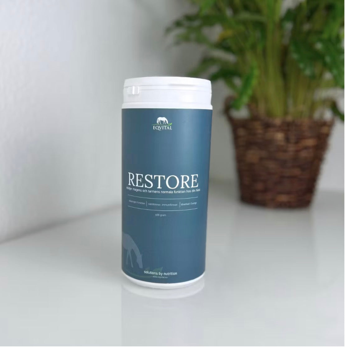 Restore - Let’s get started 2 (600 g)