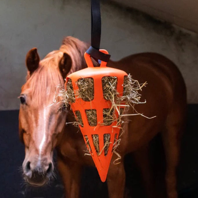 Hay Slowfeeder Carrot - Equnique