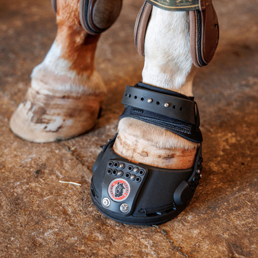 Equine Fusion Trailblazer (styck)