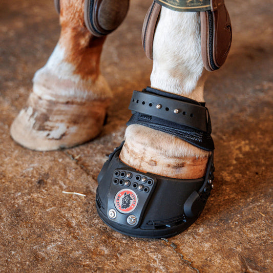 Equine Fusion Trailblazer (styck)