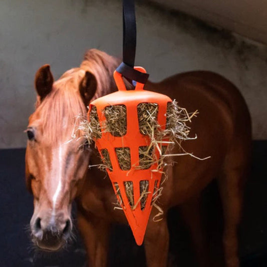 Hay Slowfeeder Carrot - Equnique