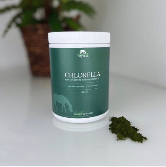 Chlorella Pyrenodiosa (400 g)