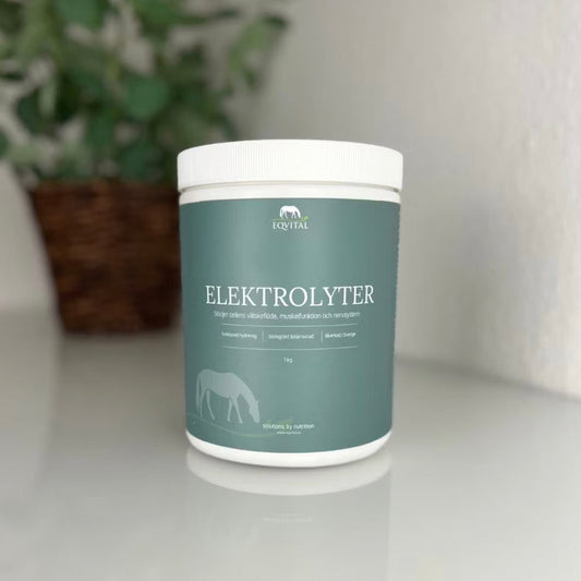 Elektrolyter (1 kg)