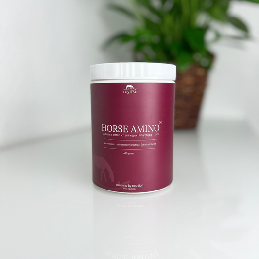 Horse Amino (900g)