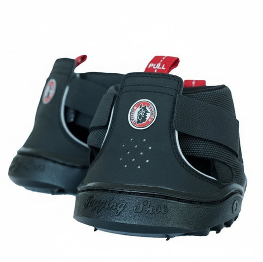 Equine Fusion Trekking (par)